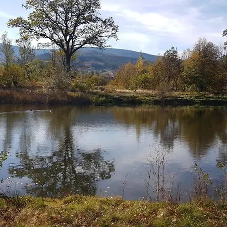 Iseroase * ポビエドナ